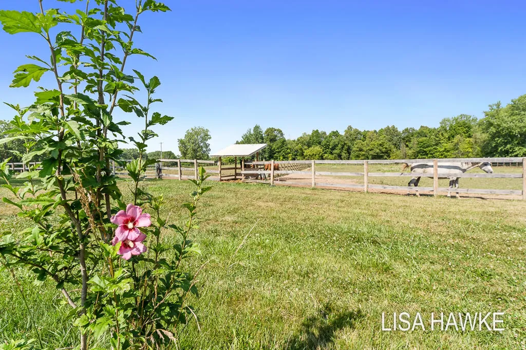10365 Cleveland Street Crockery Township MI 49448