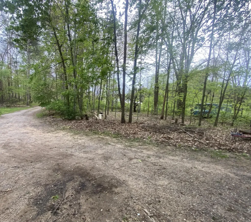 2851 137th Avenue Salem Township MI 49323