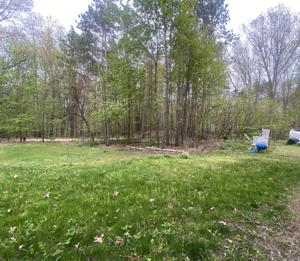 2851 137th Avenue Salem Township MI 49323