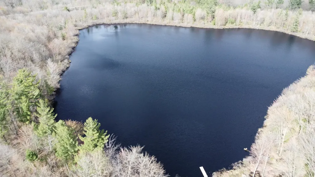 6416 E Rossell Lake Road Colfax Township MI 49459