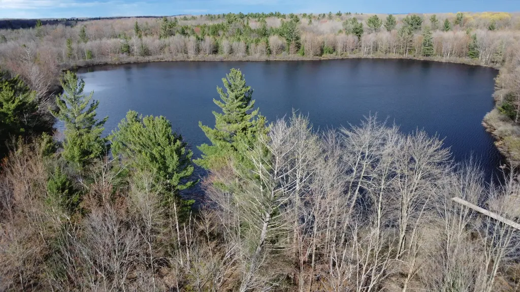 6416 E Rossell Lake Road Colfax Township MI 49459