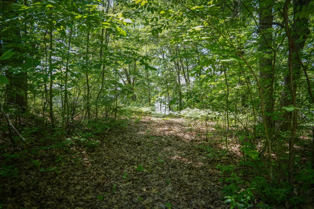 14308 Church Road Winfield Township MI 49329