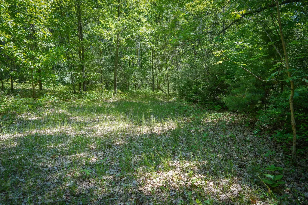 14308 Church Road Winfield Township MI 49329