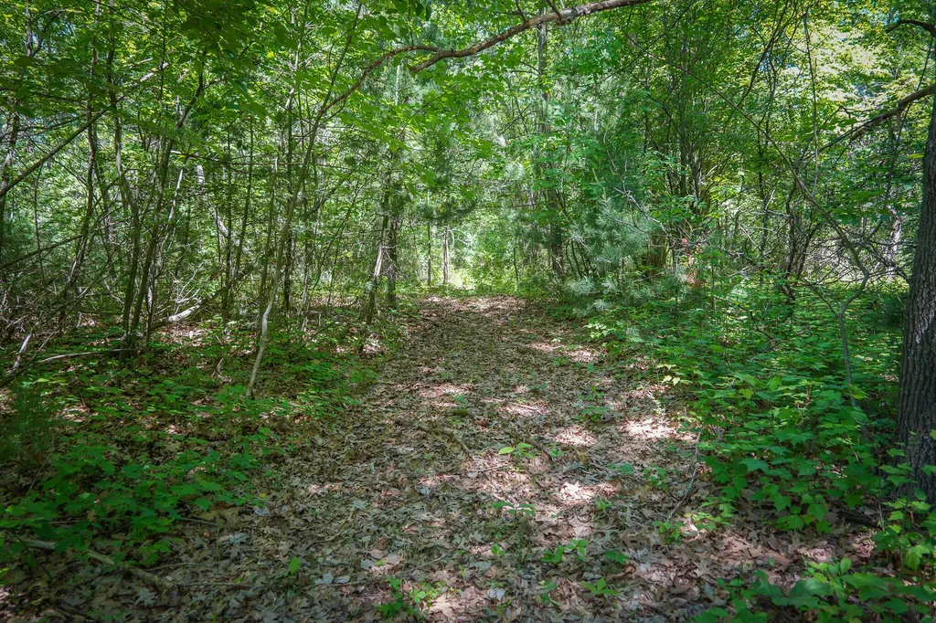 14308 Church Road Winfield Township MI 49329