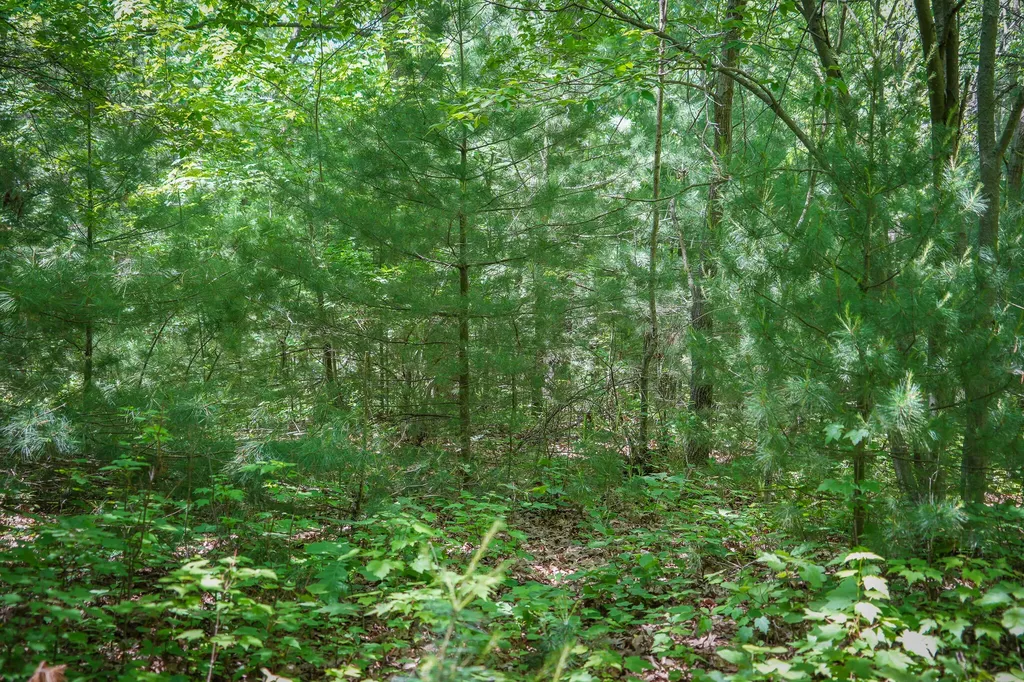 14308 Church Road Winfield Township MI 49329