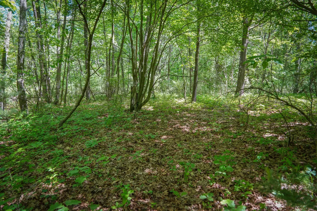 14308 Church Road Winfield Township MI 49329