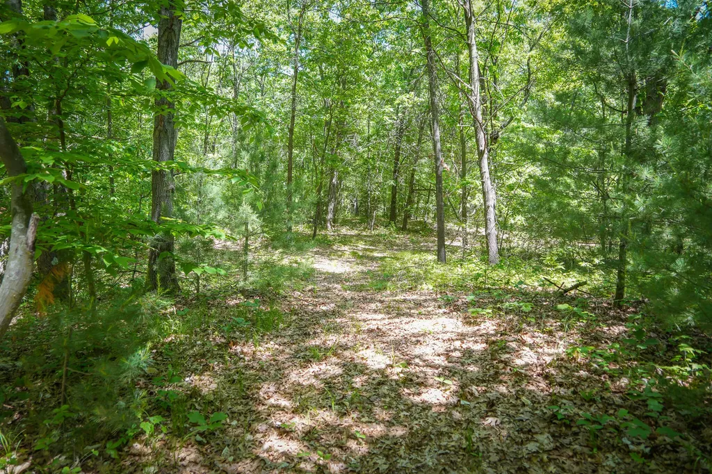 14308 Church Road Winfield Township MI 49329