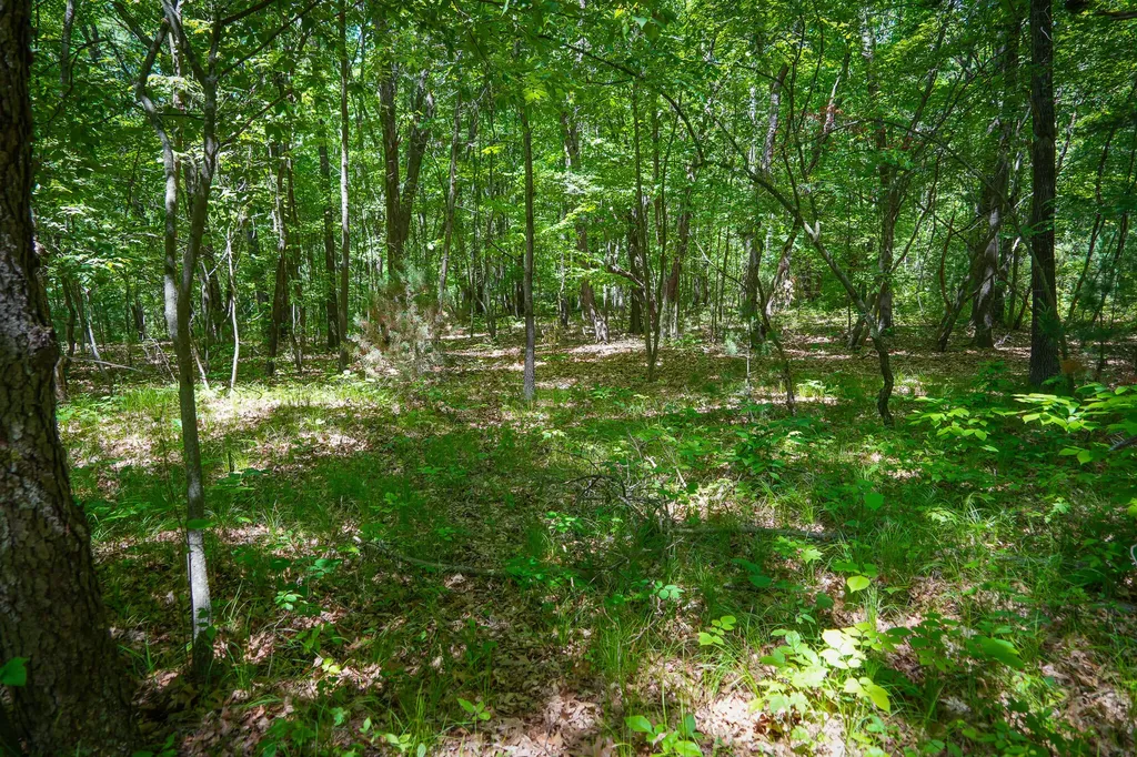 14308 Church Road Winfield Township MI 49329