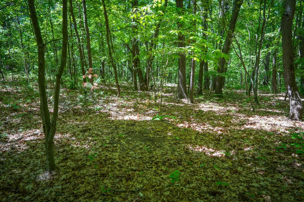14308 Church Road Winfield Township MI 49329
