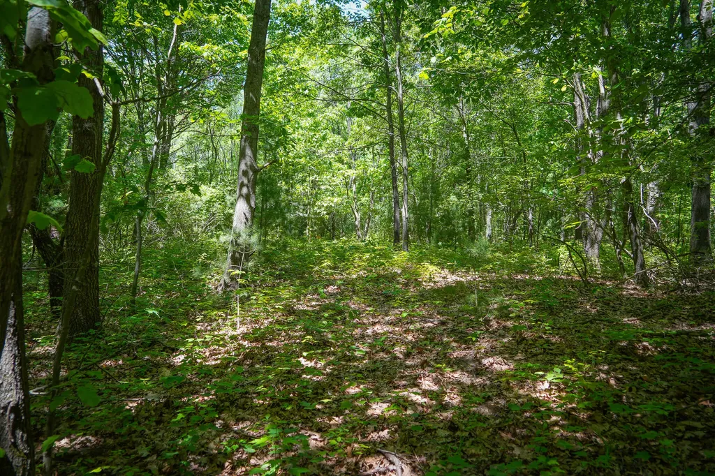 14308 Church Road Winfield Township MI 49329