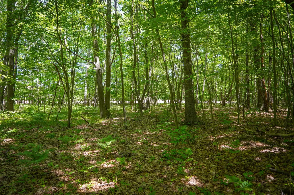 14308 Church Road Winfield Township MI 49329