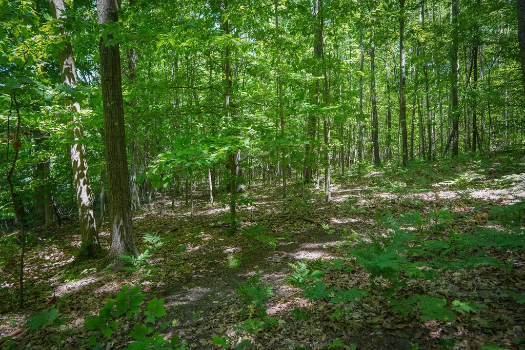 14308 Church Road Winfield Township MI 49329