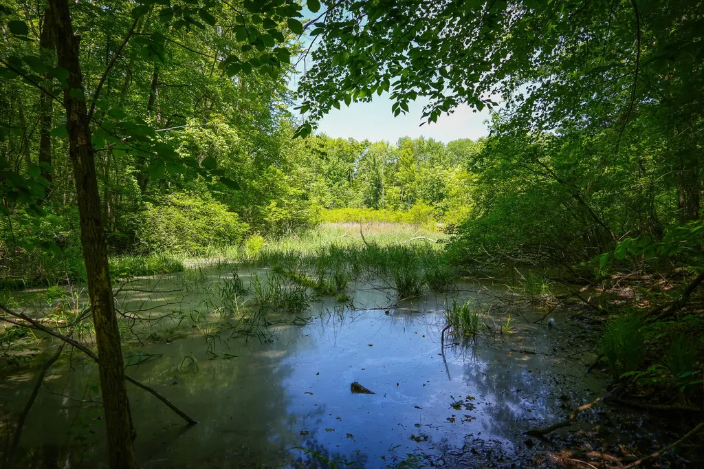 14308 Church Road Winfield Township MI 49329