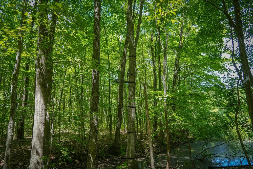 14308 Church Road Winfield Township MI 49329