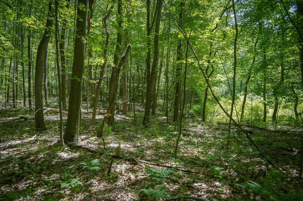 14308 Church Road Winfield Township MI 49329