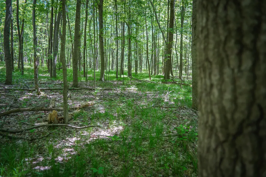 14308 Church Road Winfield Township MI 49329