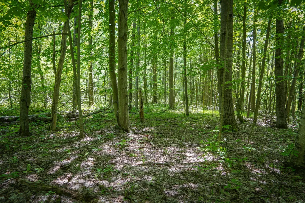 14308 Church Road Winfield Township MI 49329