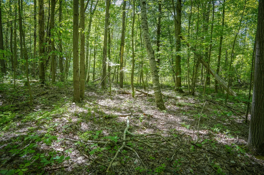 14308 Church Road Winfield Township MI 49329