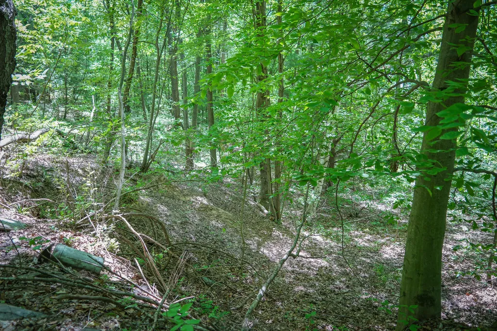 14308 Church Road Winfield Township MI 49329
