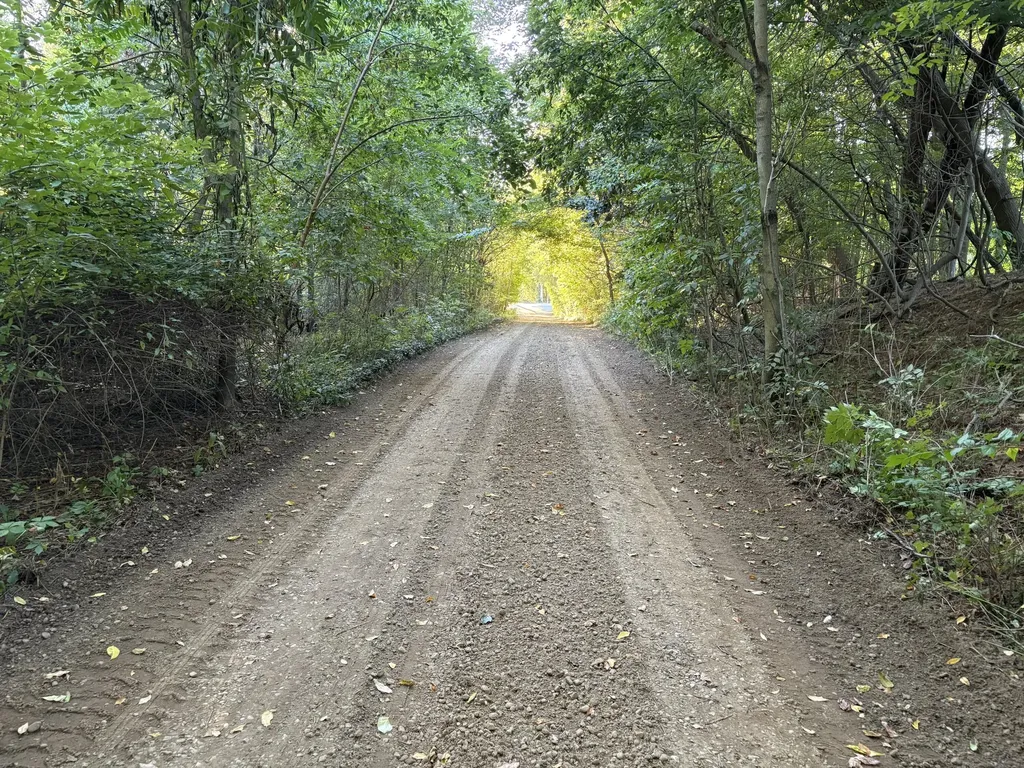 5932 Wilderness Trail Manlius Township MI 49419