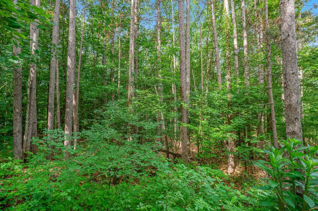 3365 Palmer Drive Saugatuck Township MI 49453