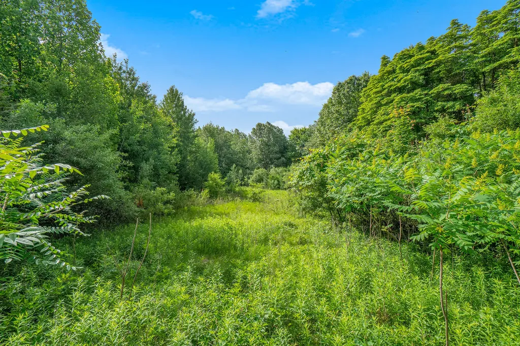 3365 Palmer Drive Saugatuck Township MI 49453