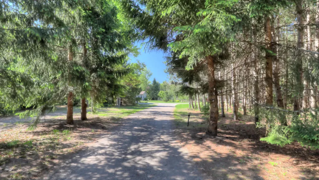 17885 Mckinley Road Colfax Township MI 49307