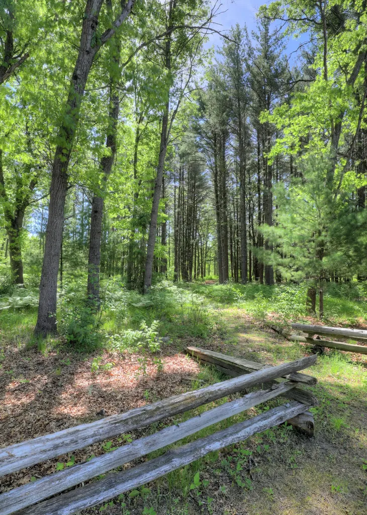 17885 Mckinley Road Colfax Township MI 49307