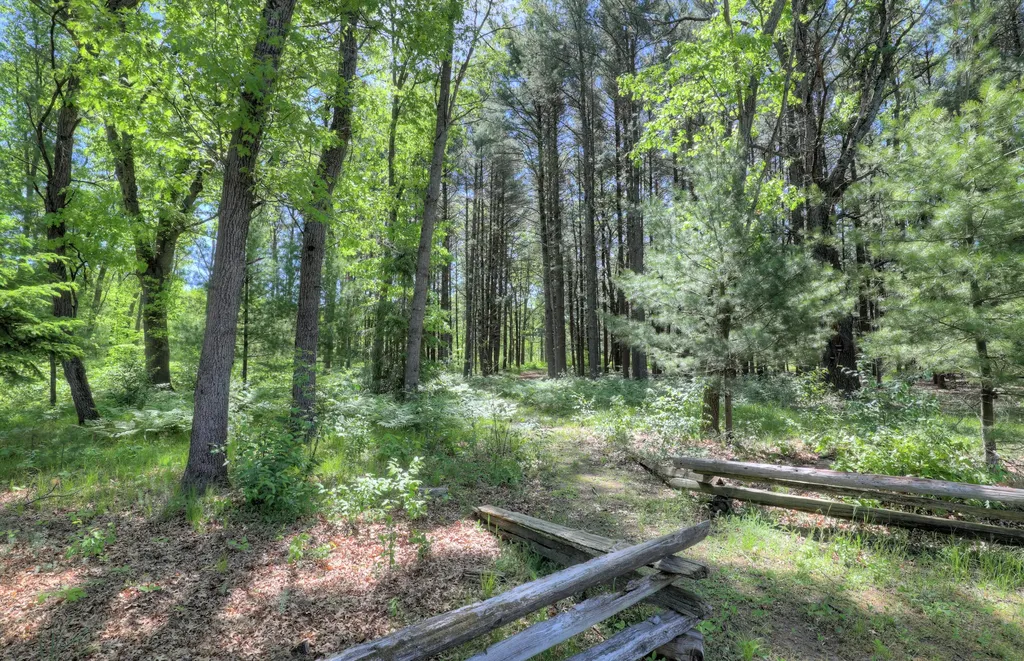 17885 Mckinley Road Colfax Township MI 49307
