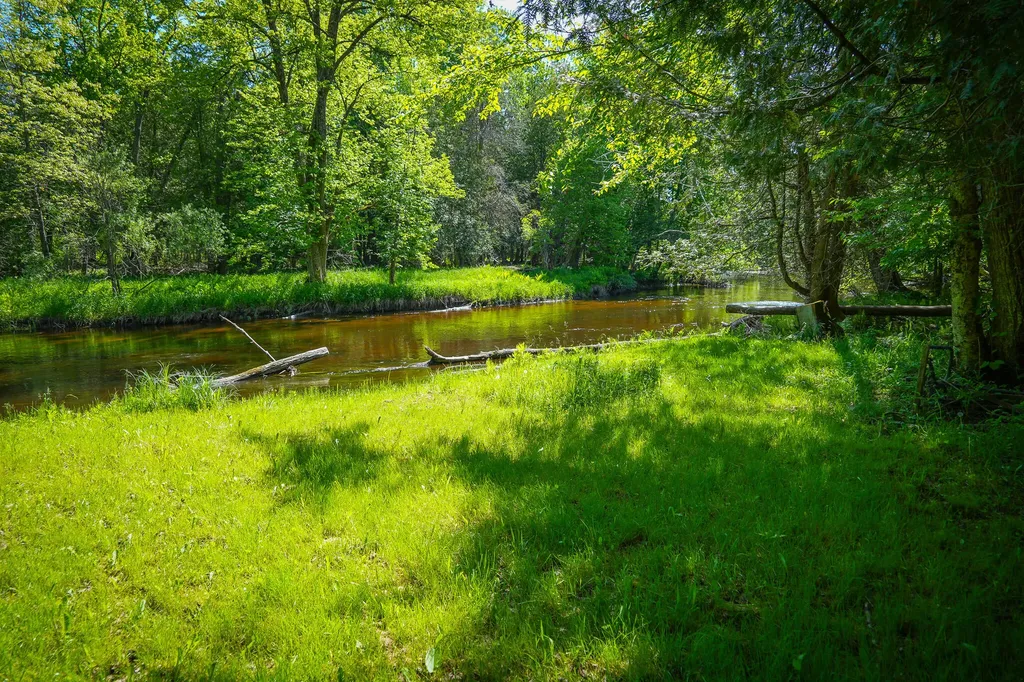 8804 Anne Drive Colfax Township MI 49459