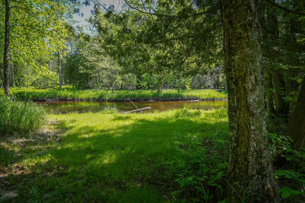 8804 Anne Drive Colfax Township MI 49459