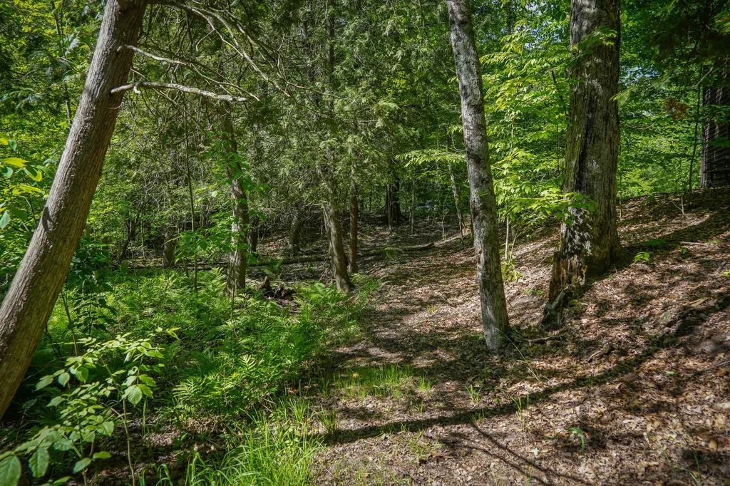8804 Anne Drive Colfax Township MI 49459