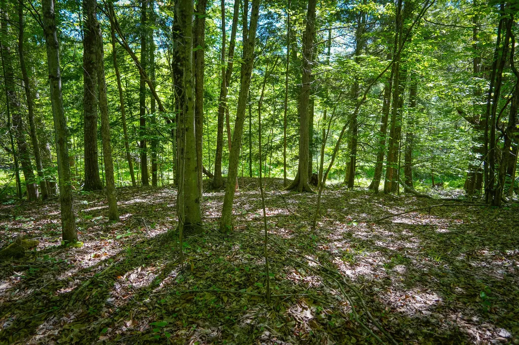8804 Anne Drive Colfax Township MI 49459
