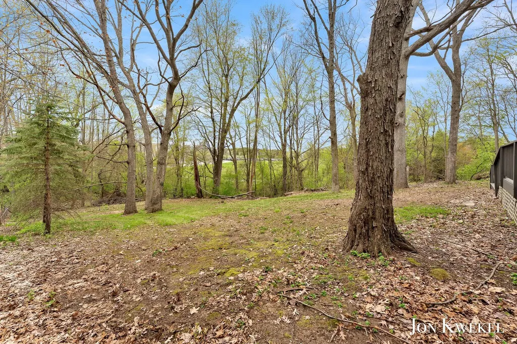 2687 Dunnigan Avenue NE Grand Rapids Charter Township MI 49525