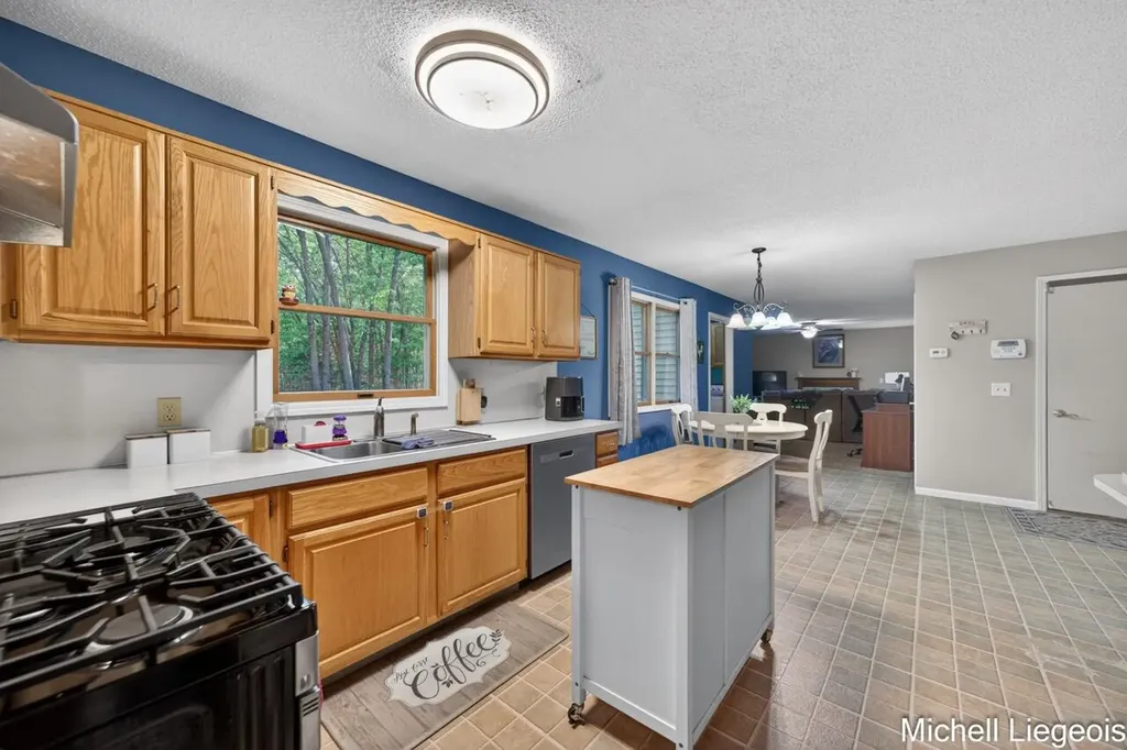 3325 S Riverwood Drive Dalton Township MI 49457