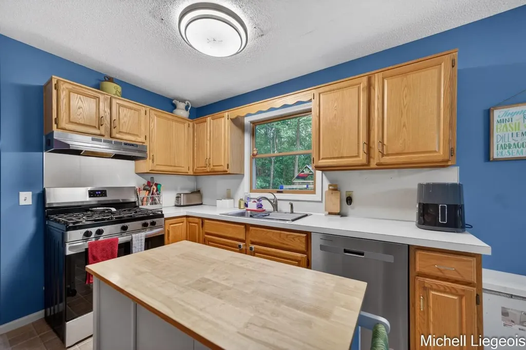 3325 S Riverwood Drive Dalton Township MI 49457