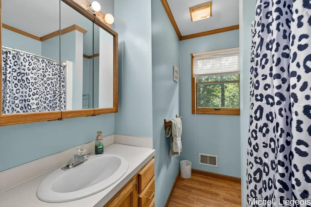 3325 S Riverwood Drive Dalton Township MI 49457