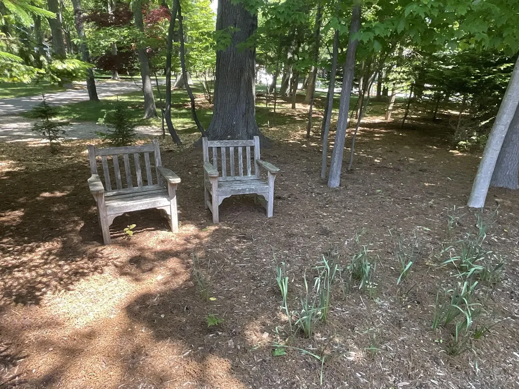 72 Wilderness Ridge Drive Unknown City MI 49406