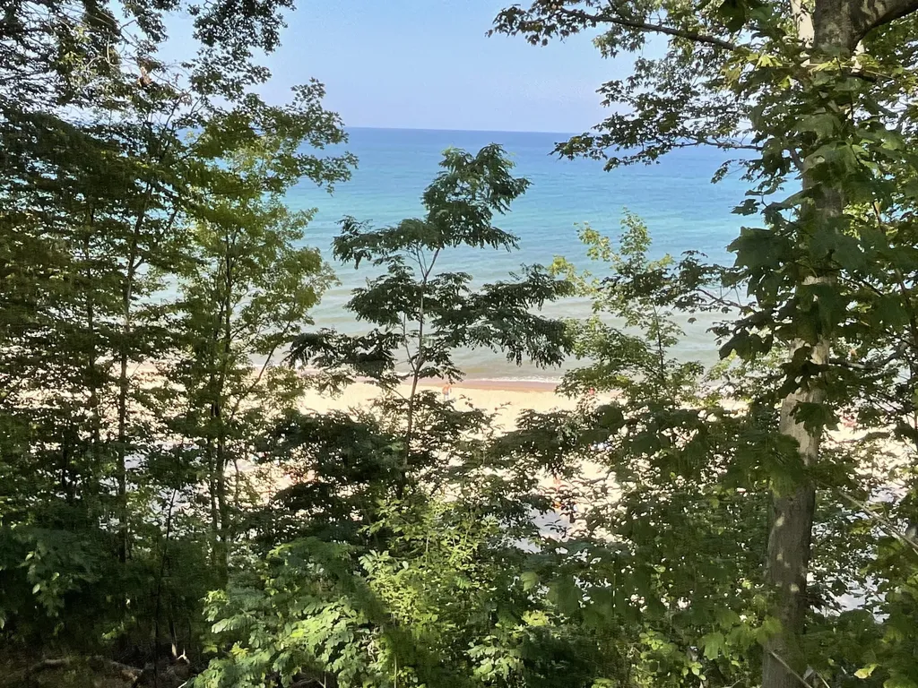 72 Wilderness Ridge Drive Unknown City MI 49406