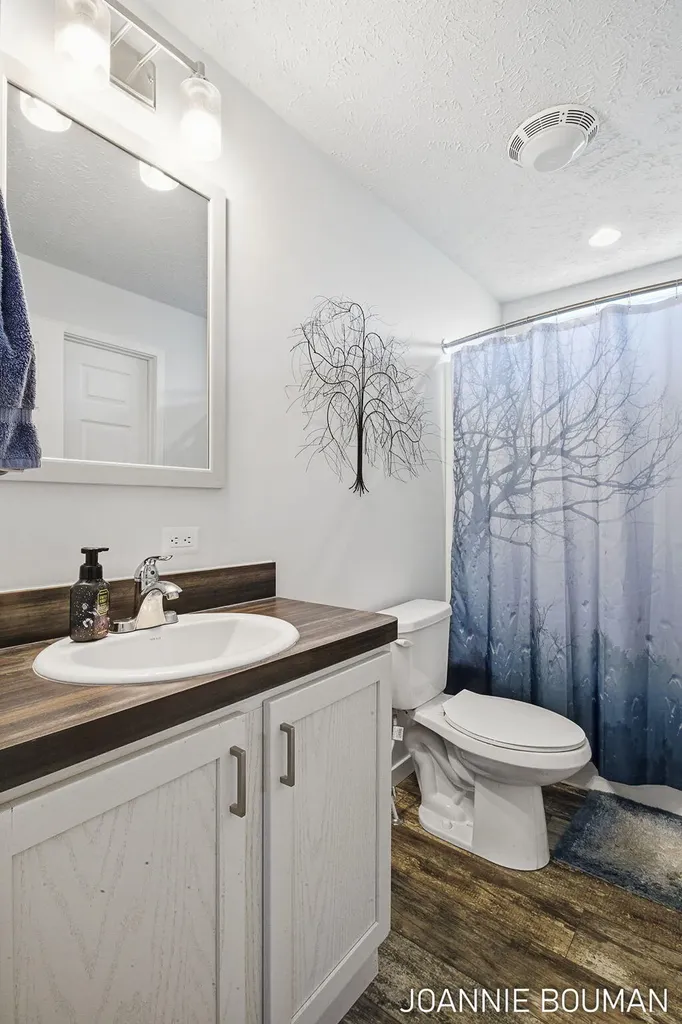 5230 E Sunfield Lane Fillmore Township MI 49423