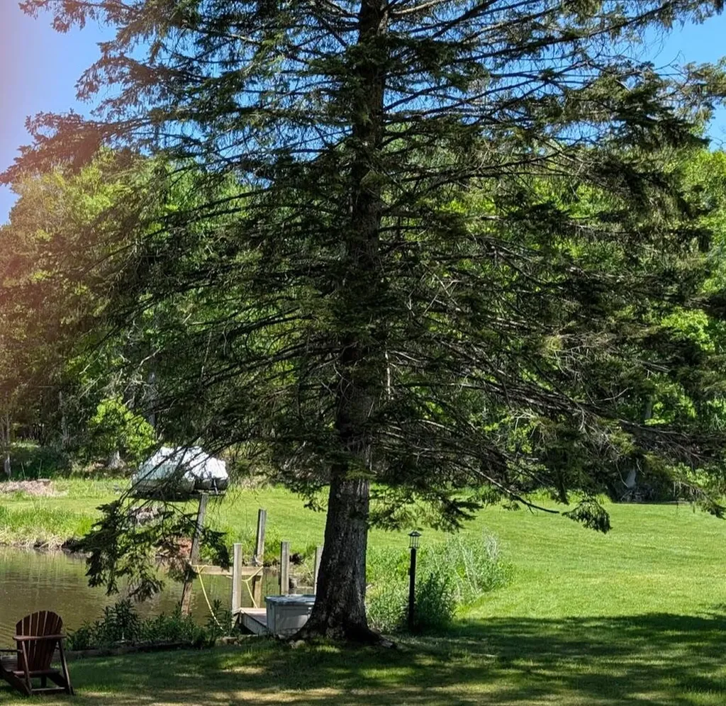 246 Birch Drive Laketon Township MI 49445