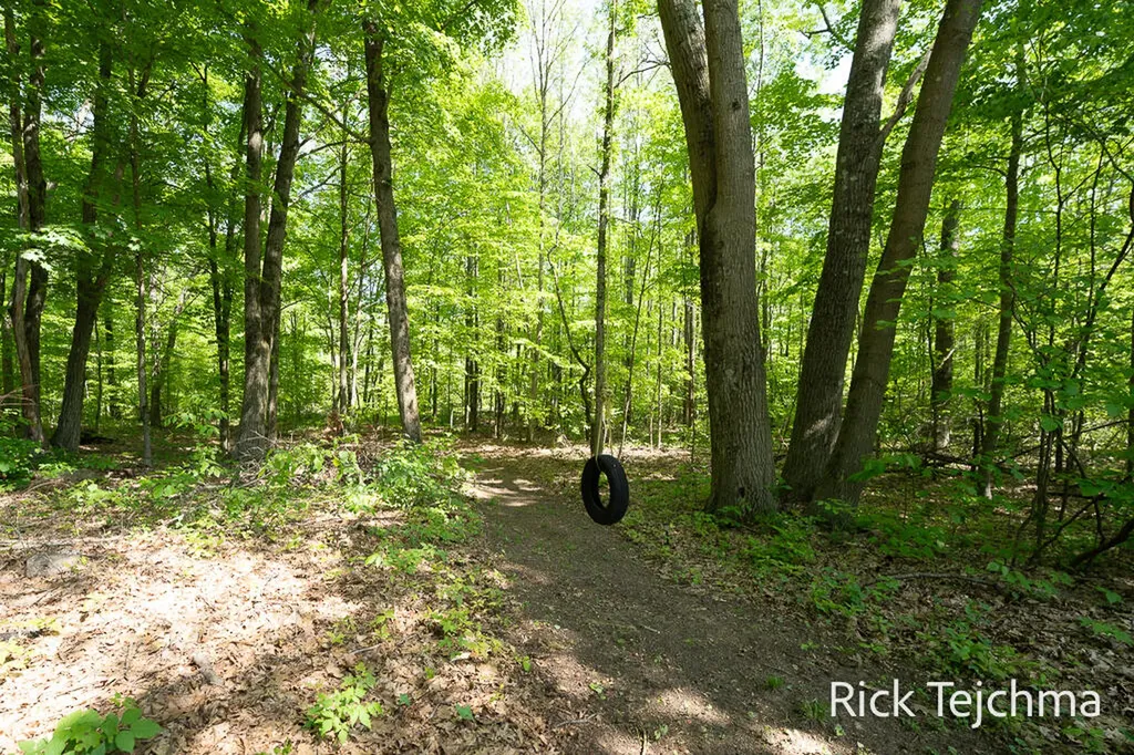 10345 Red Oak Ridge Reynolds Township MI 49329