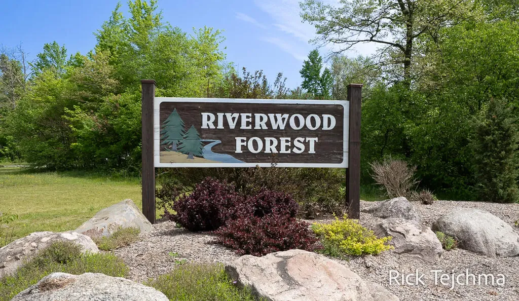 10345 Red Oak Ridge Reynolds Township MI 49329