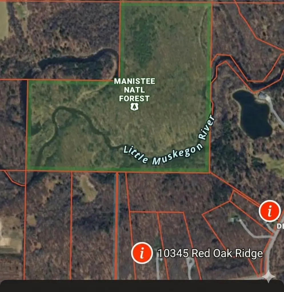 10345 Red Oak Ridge Reynolds Township MI 49329