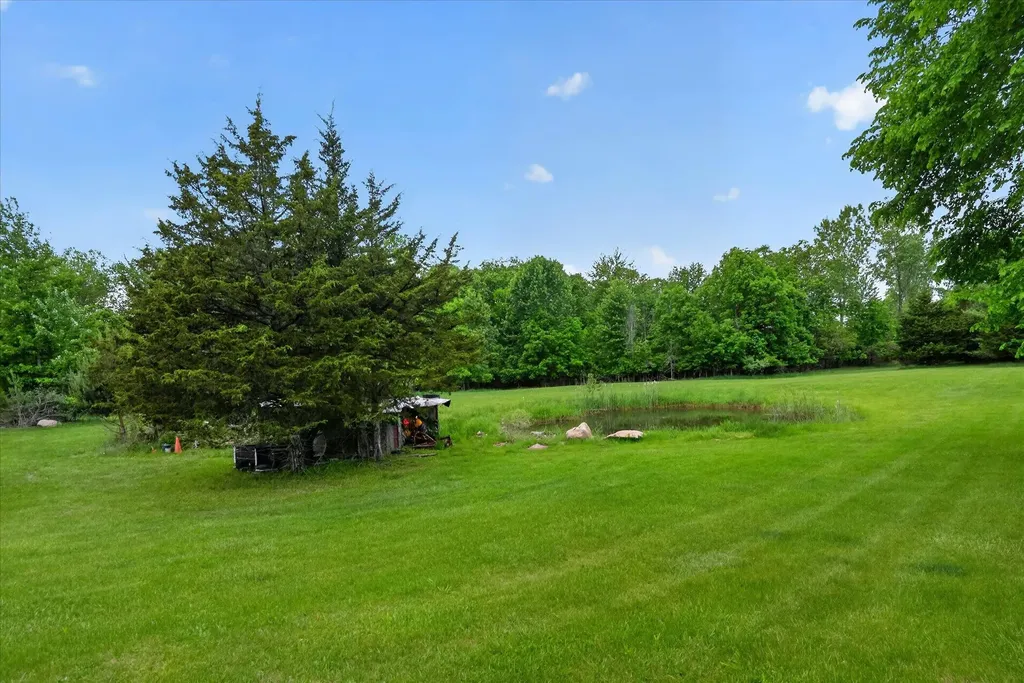 5569 S Corey Road Locke Township MI 48872