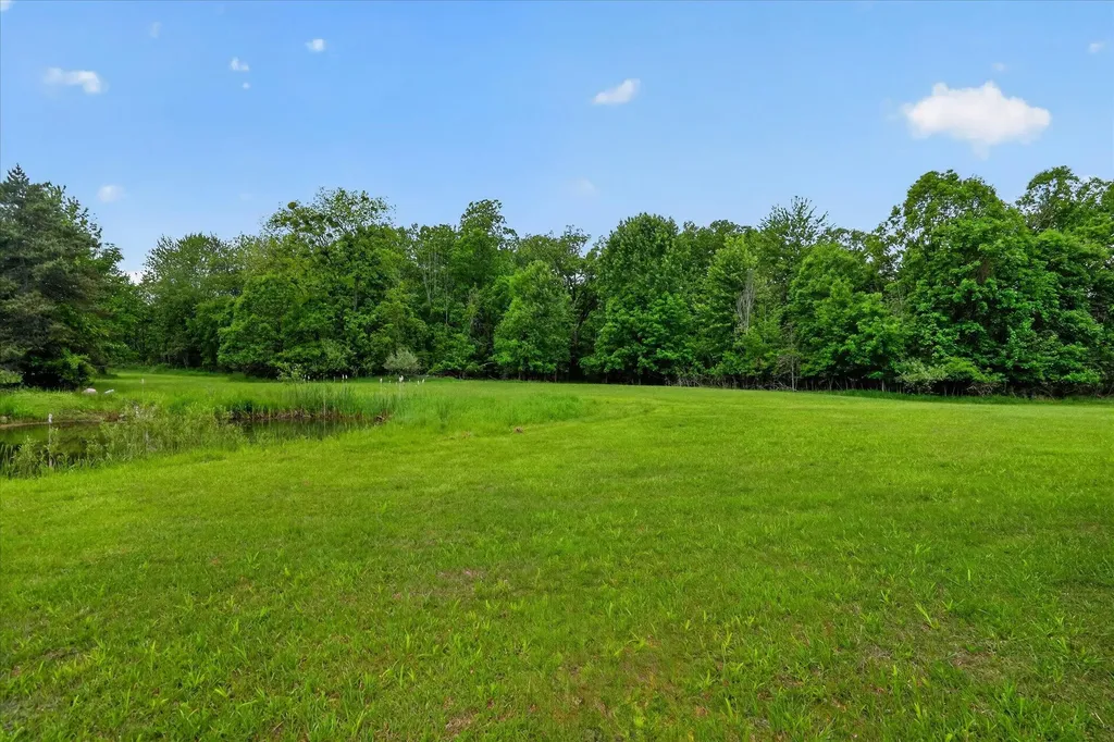 5569 S Corey Road Locke Township MI 48872