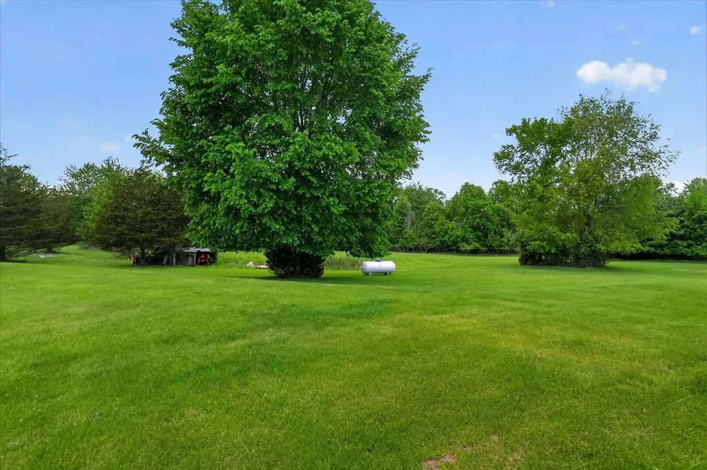 5569 S Corey Road Locke Township MI 48872