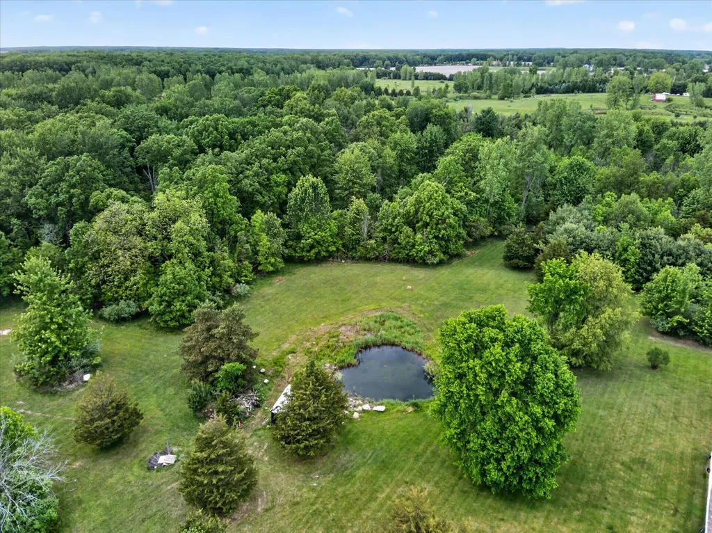 5569 S Corey Road Locke Township MI 48872