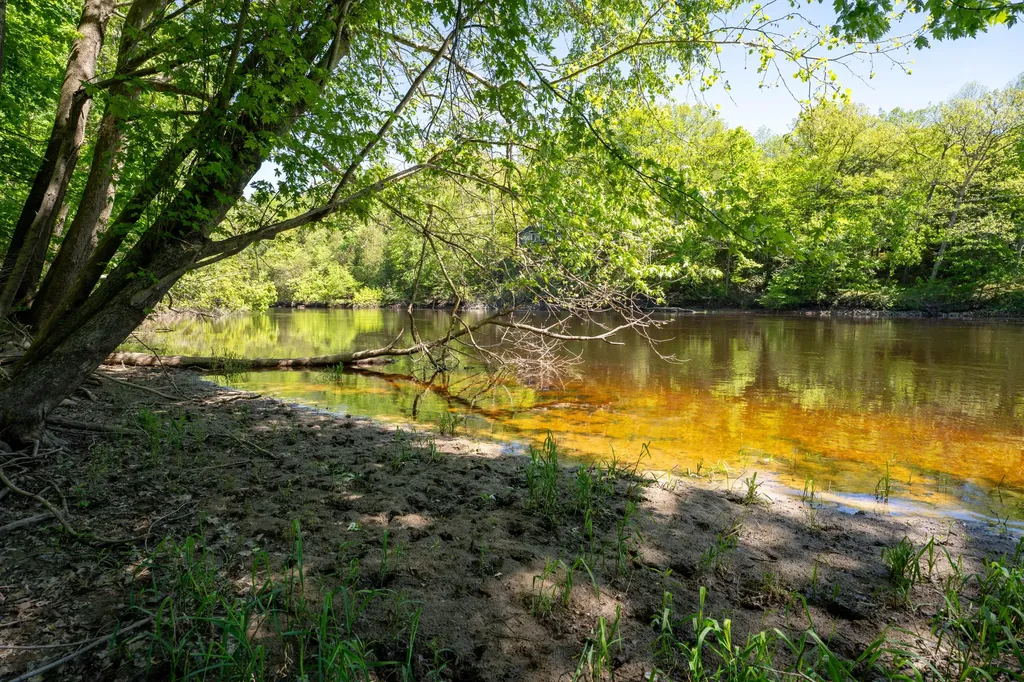 4658 W Fern Glen Ashland Township MI 49412