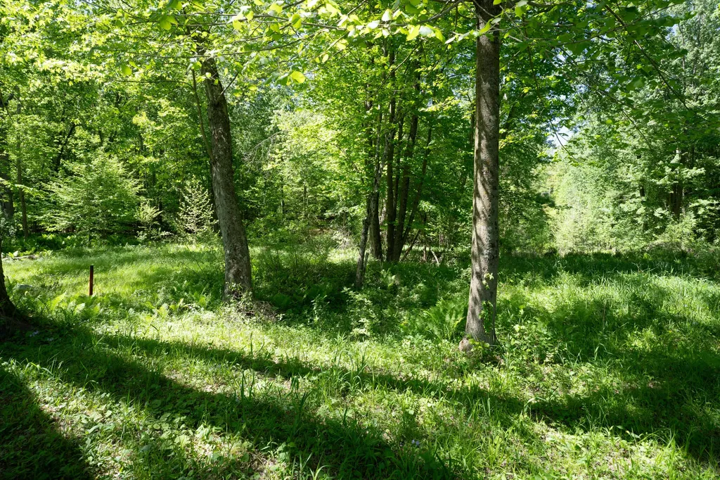 4658 W Fern Glen Ashland Township MI 49412